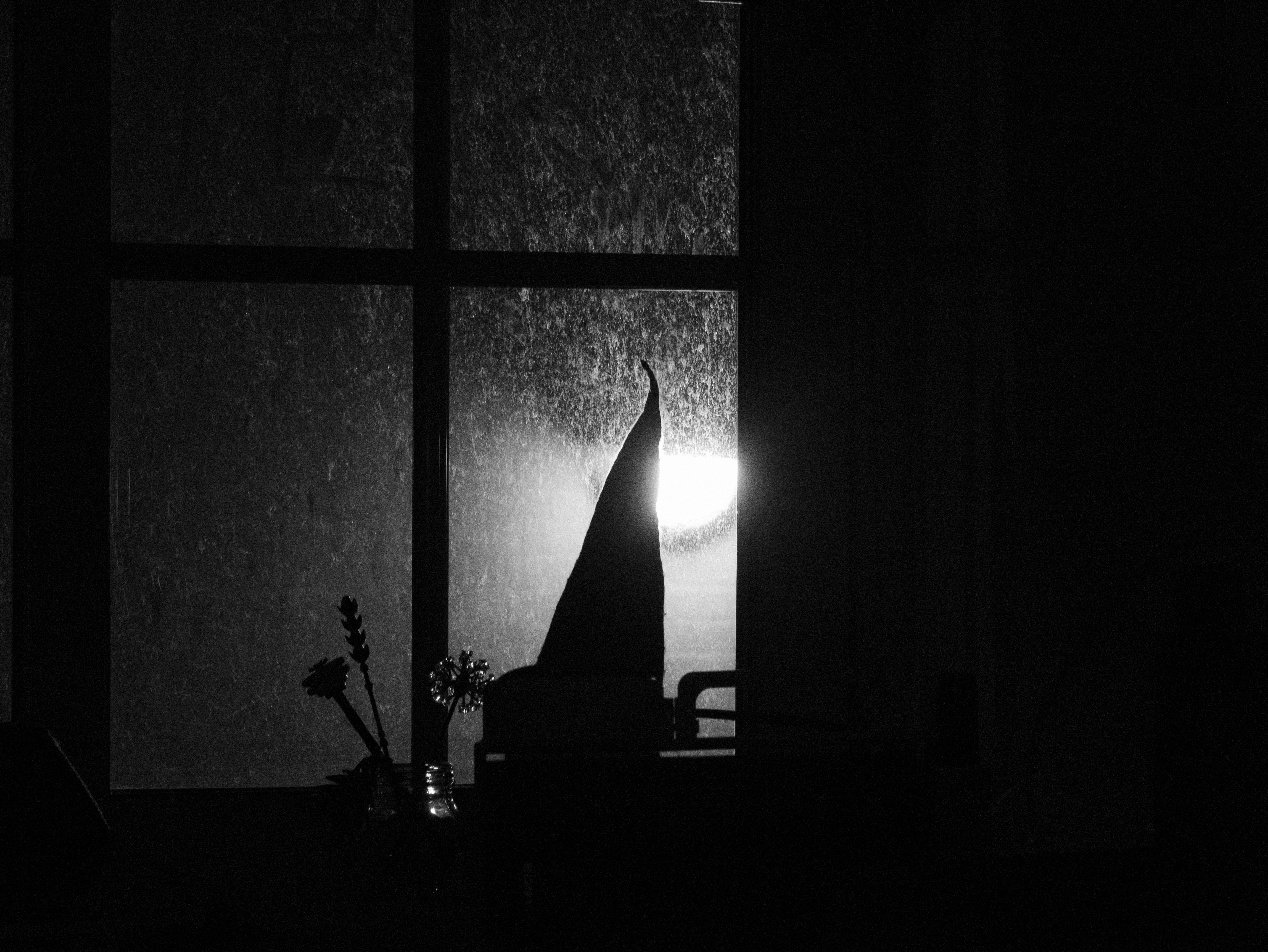 P1230094