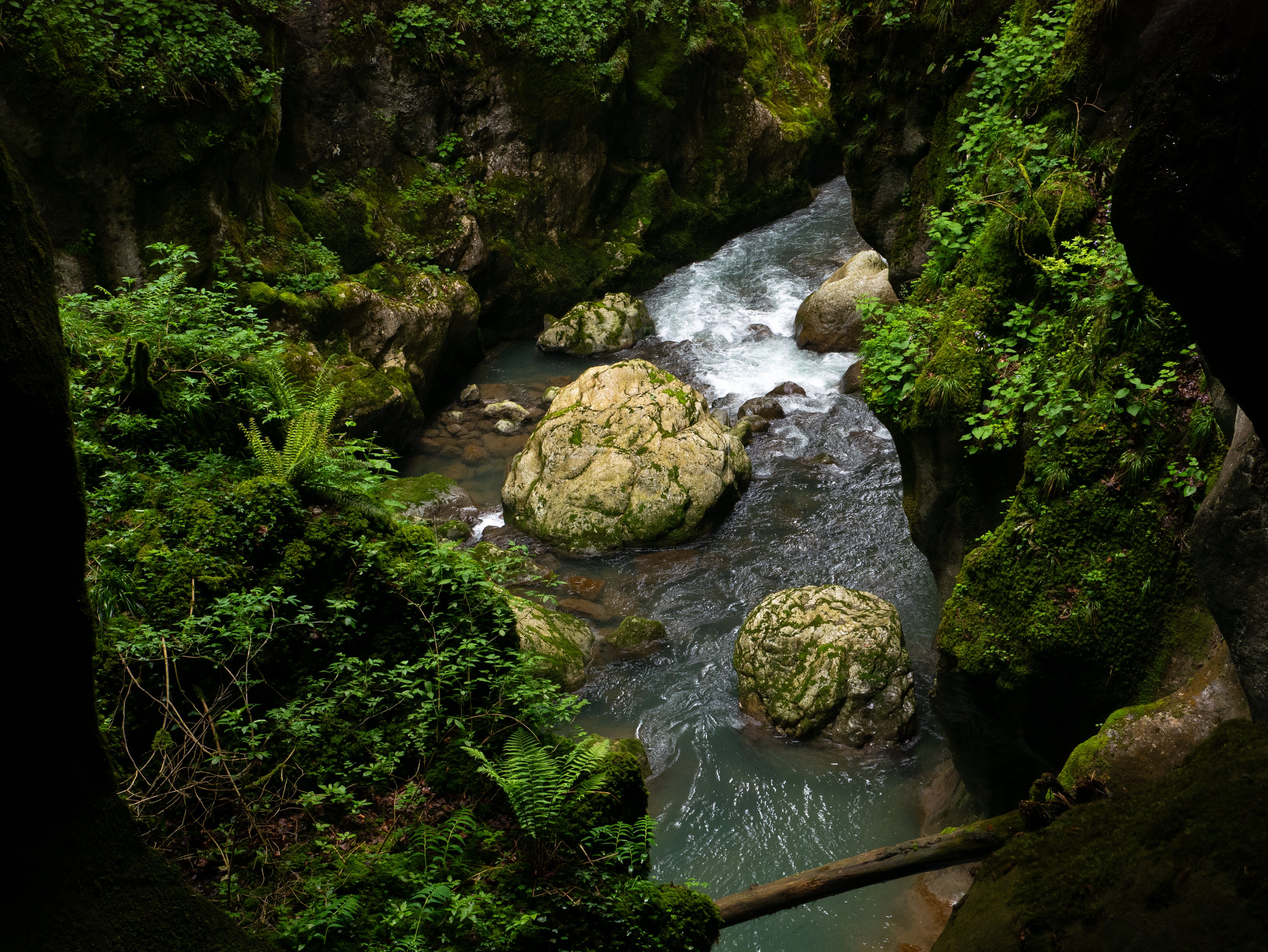 P1230458