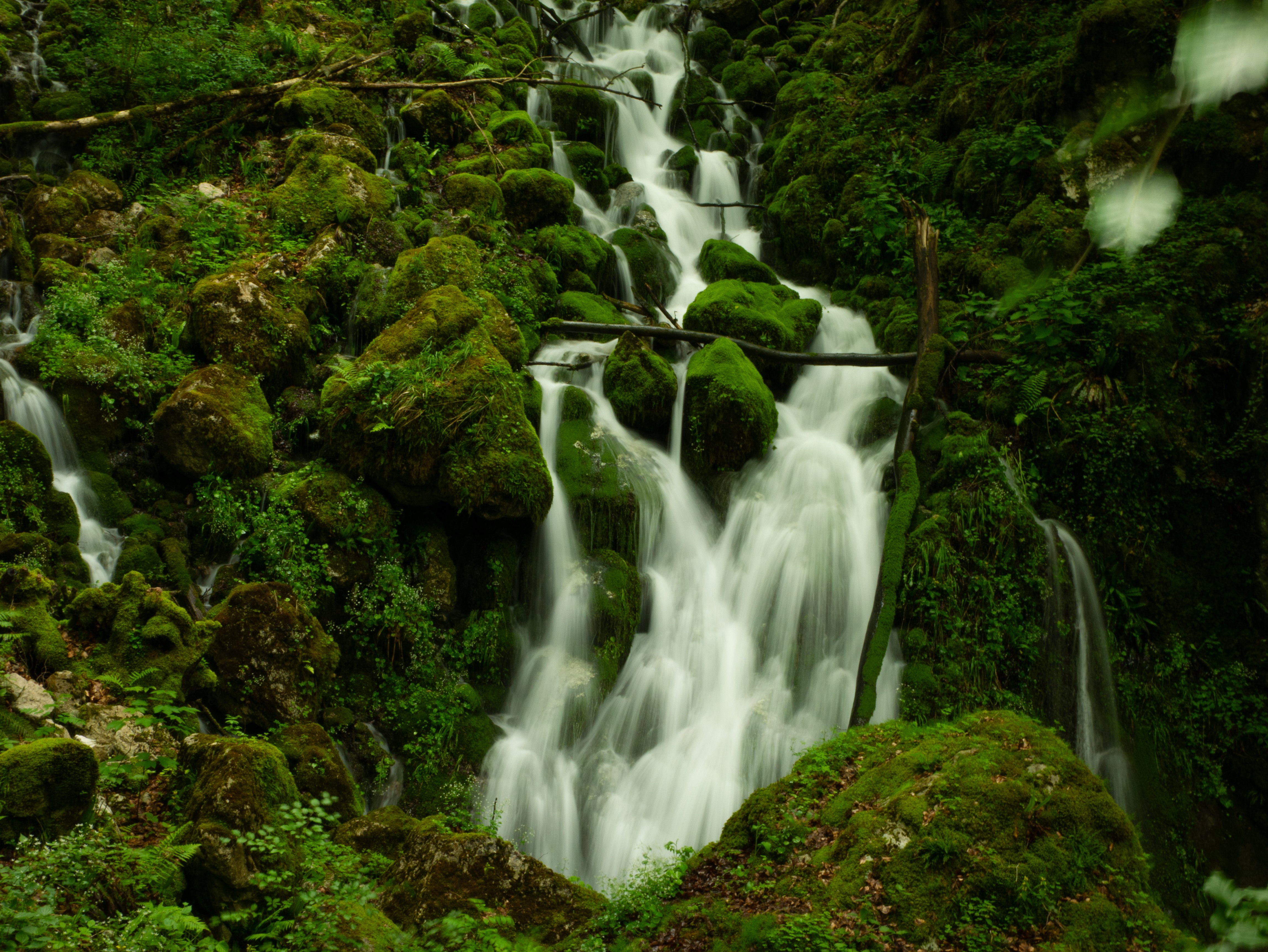 P1230495