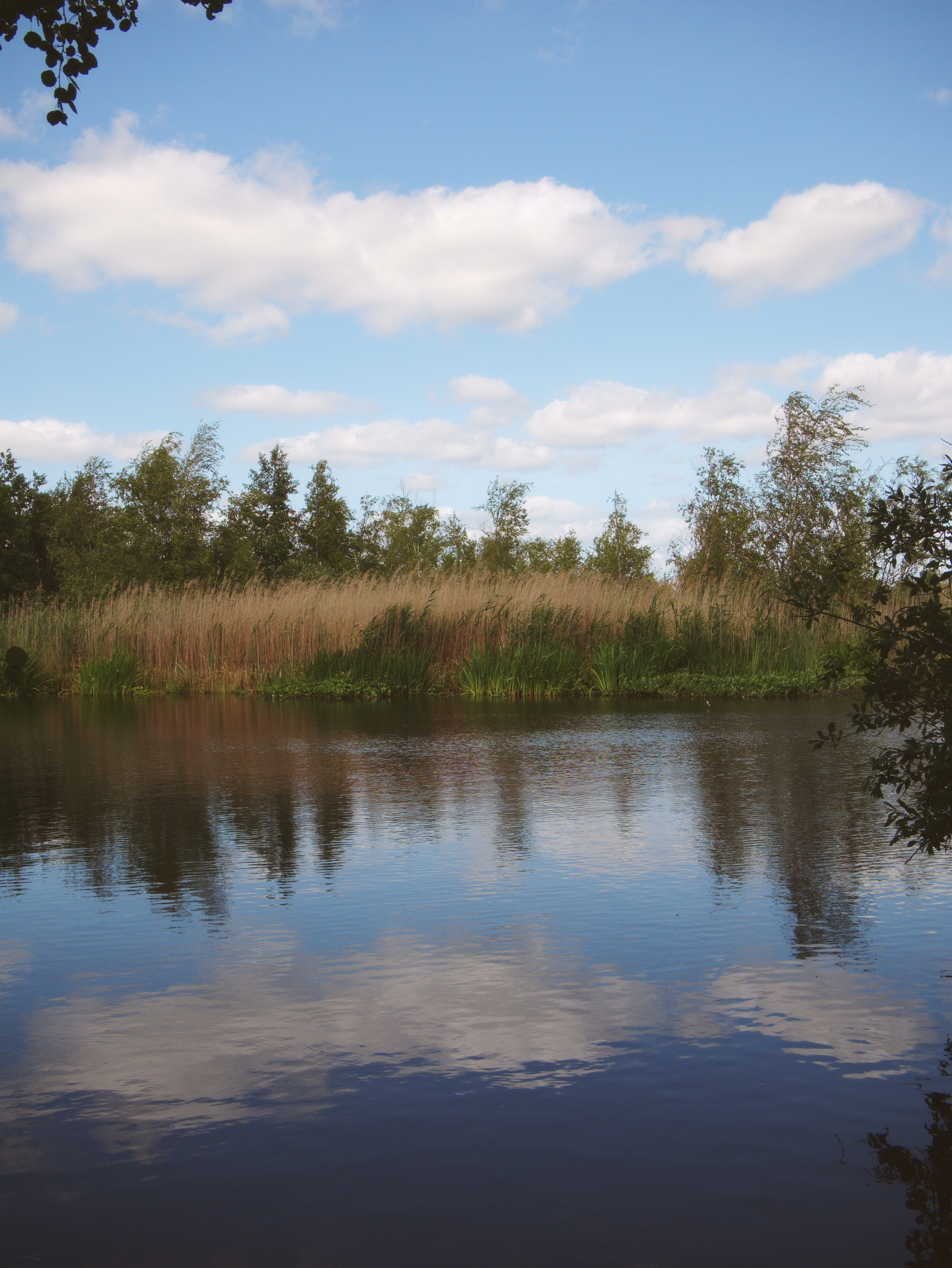 P1250374_web